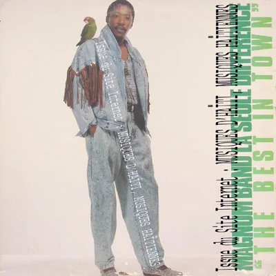 Pochette de « Volume 9 » (Magnum Band)