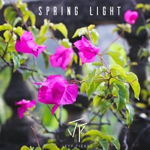 Pochette de « Spring Light » (Jeff Pierre)