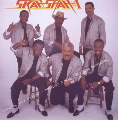 Pochette de « Skah Shah de New York — Volume 17 » (Skah Shah de New York)