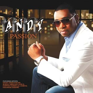 Pochette de « Passion » (Andy)
