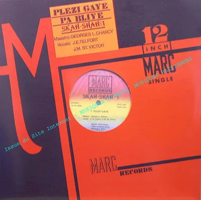 Pochette de « Skah Shah de New York — Volume 13 » (Skah Shah de New York)