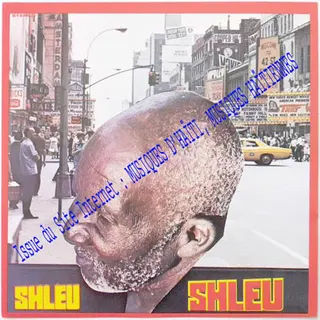 Pochette de « Les Shleu-Shleu — Volume 14 » (Les Shleu-Shleu)