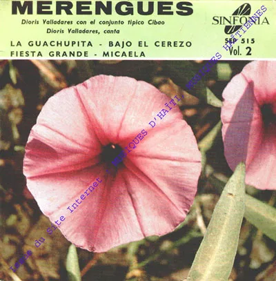 Pochette de « Merengues (titre à vérifier) » (Merengues)